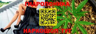 индика Ликино-Дулёво