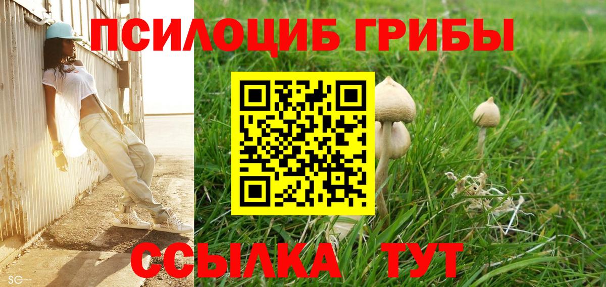 Галлюциногенные грибы мицелий  дарнет шоп  Бирск  Вход с VPN 